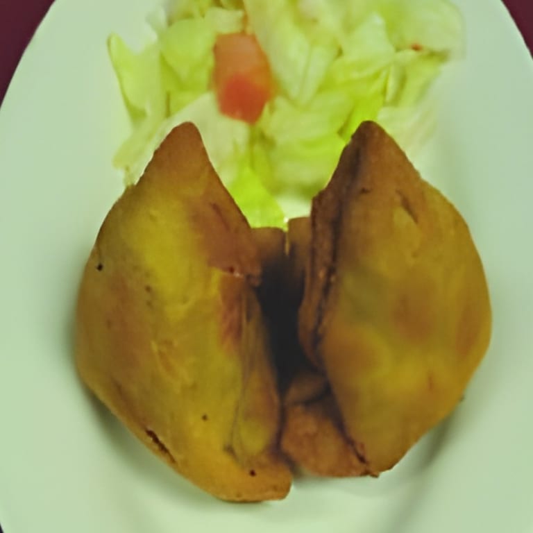Samosa Delights
